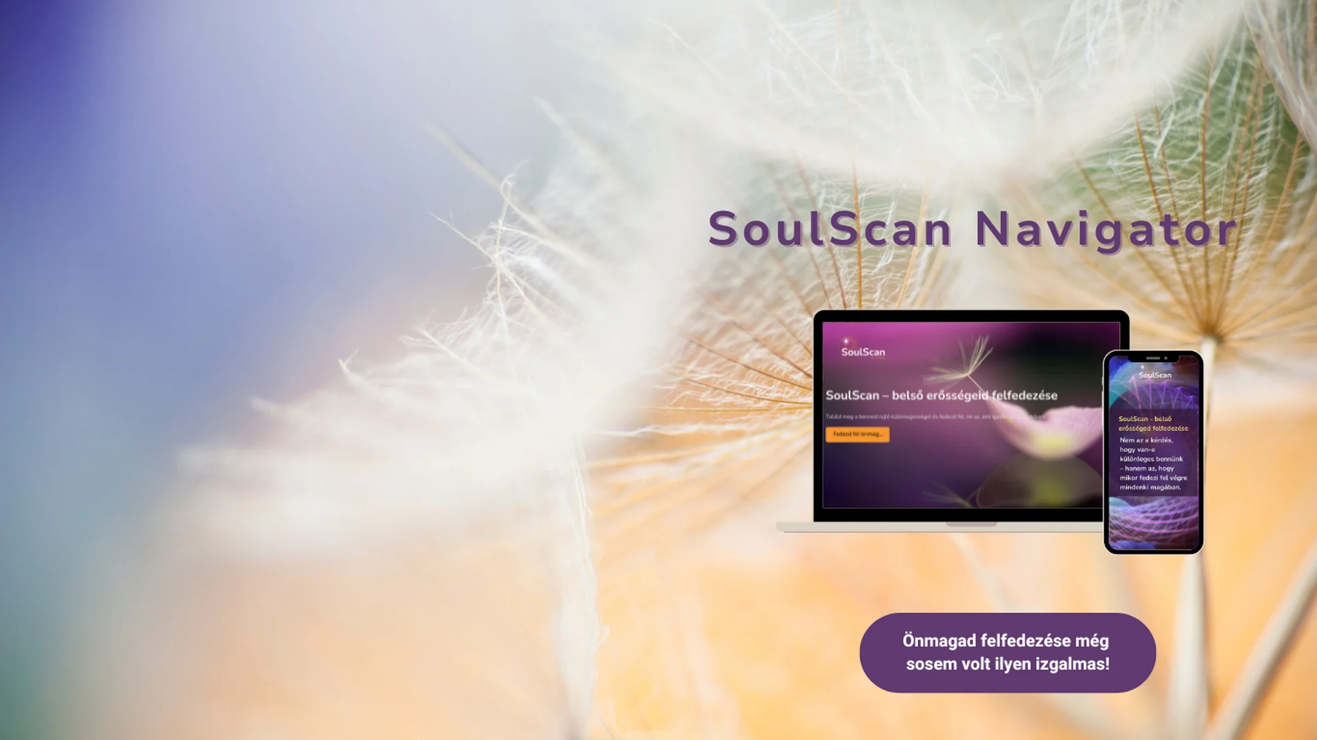 SoulScan Navigator honlap képe