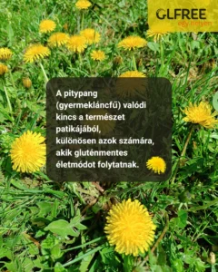 Pitypang a gluténmenteseknek